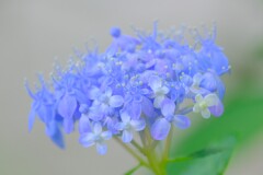 散歩の途中で。