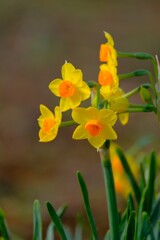 散歩の途中で。④