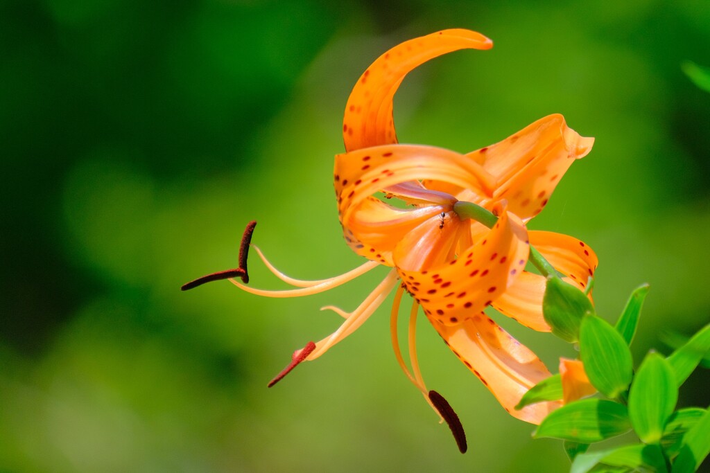 散歩の途中で。