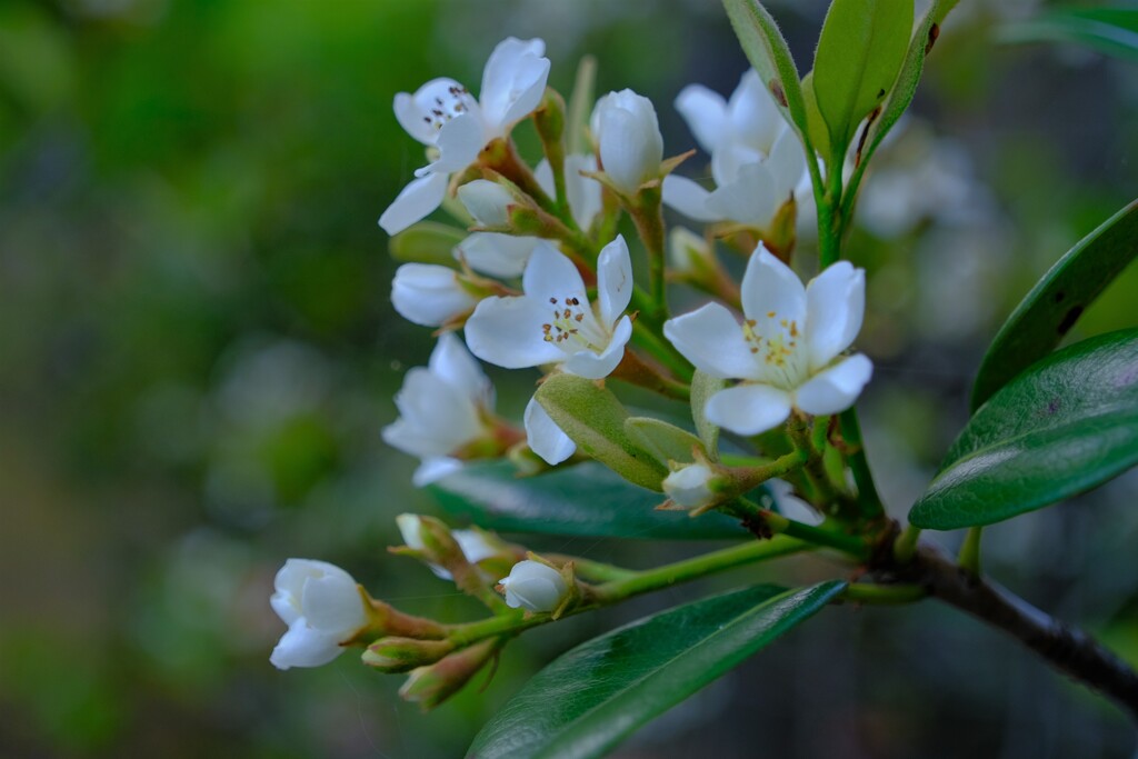 散歩の途中で。4