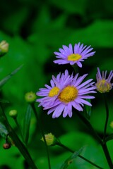 散歩の途中で。５