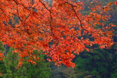 散歩の途中で、遠出 7