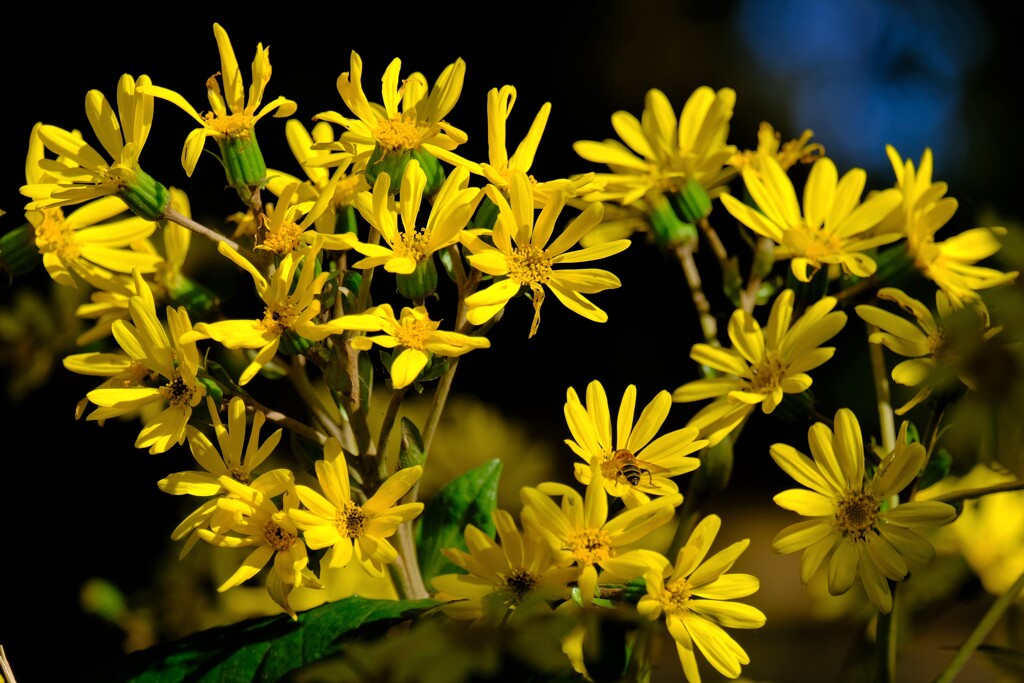 散歩の途中で。2