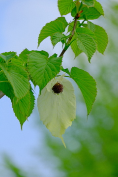 散歩の途中で。2