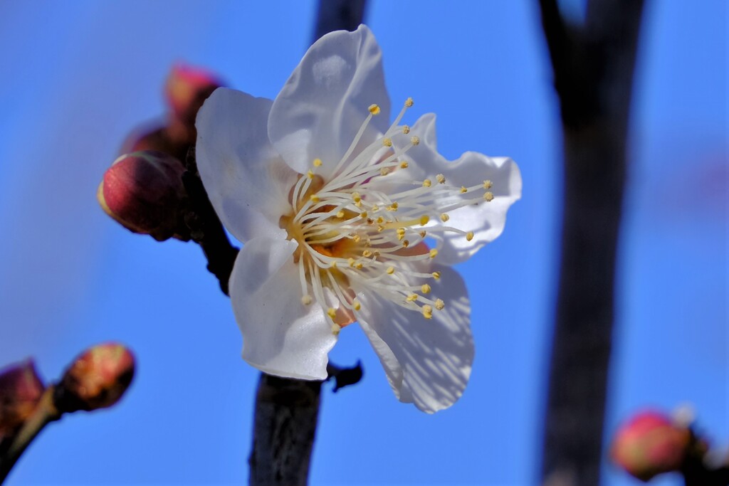 散歩の途中で。４