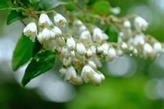 散歩の途中で。⑫