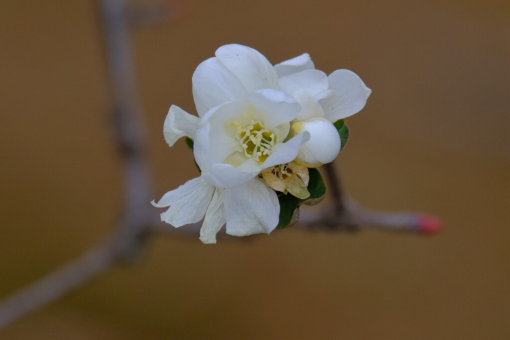 散歩の途中で。Ⅴ