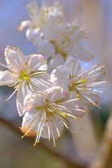 散歩の途中で。５