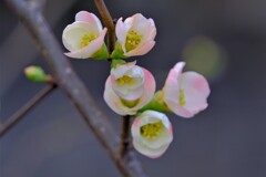 散歩の途中で。２