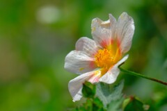 散歩の途中で。(2)