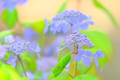 (6)散歩の途中で。8