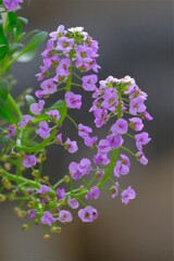 散歩の途中で。1