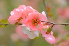 散歩の途中で。Ⅲ