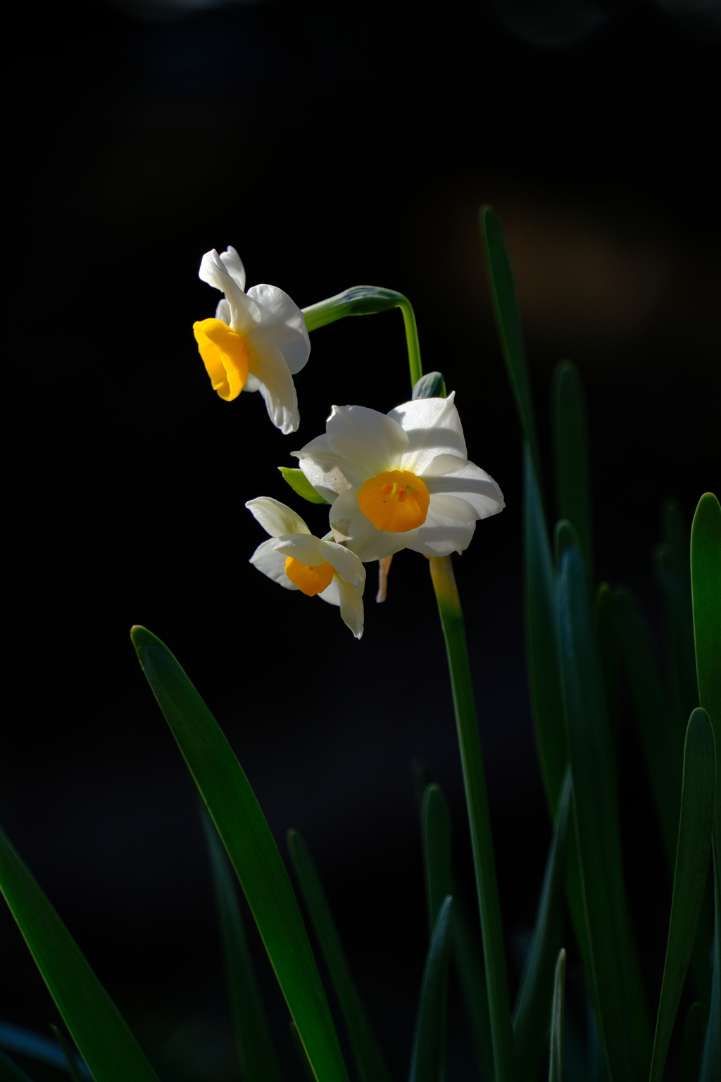 散歩の途中で。Ⅱ