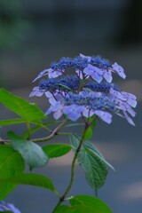 散歩の途中で。