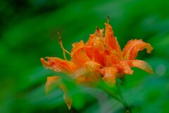 散歩の途中で。３