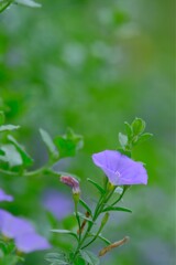 散歩の途中で。３