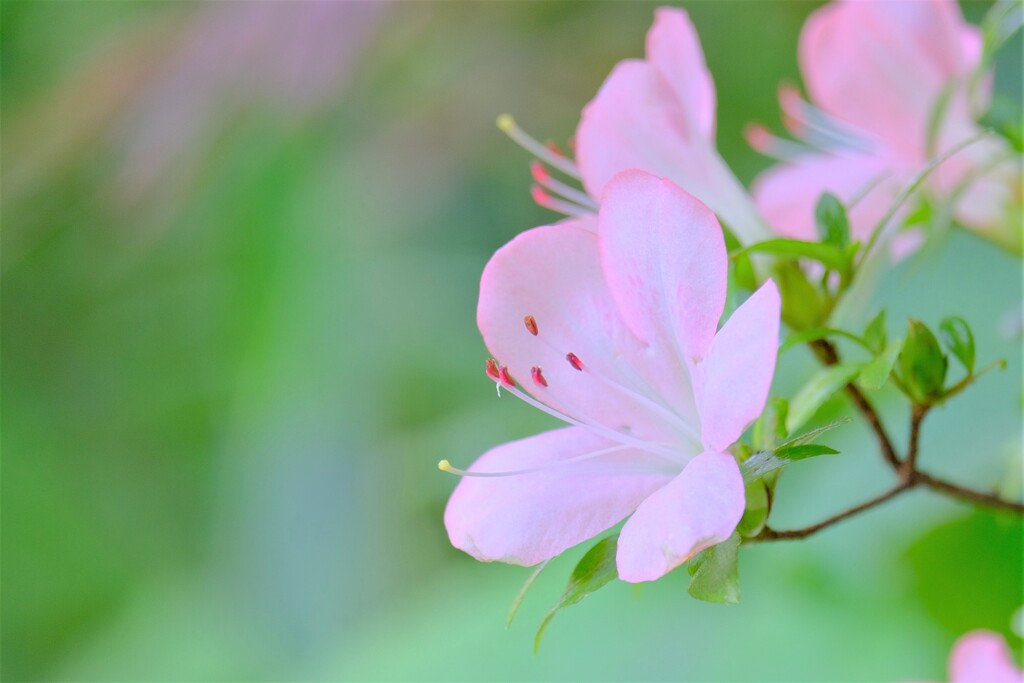 (2)散歩の途中で。-22