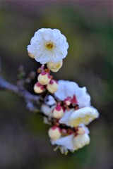 散歩の途中で。Ⅲ