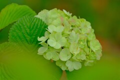 散歩の途中で。Ⅷ