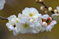 散歩の途中で。Ⅶ