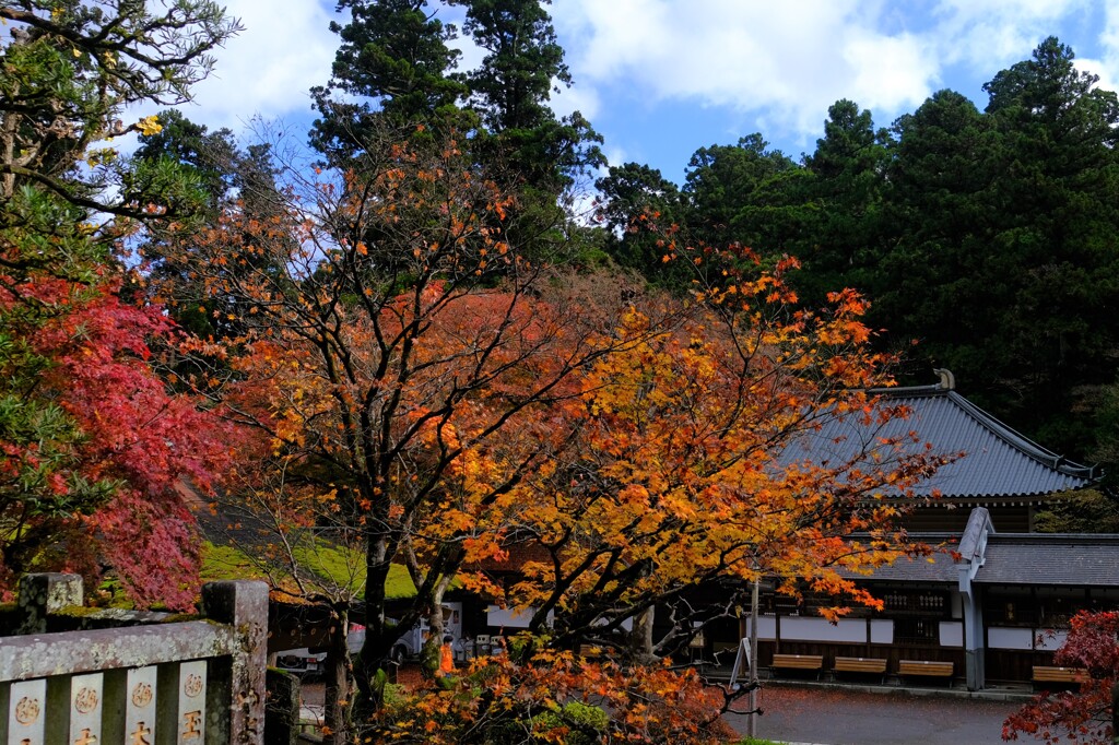 散歩の途中で、遠出②