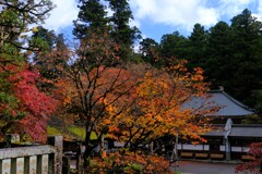 散歩の途中で、遠出②