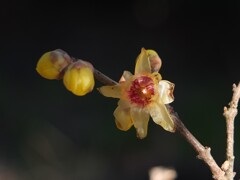 散歩の途中で。⑤