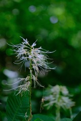 散歩の途中で。9