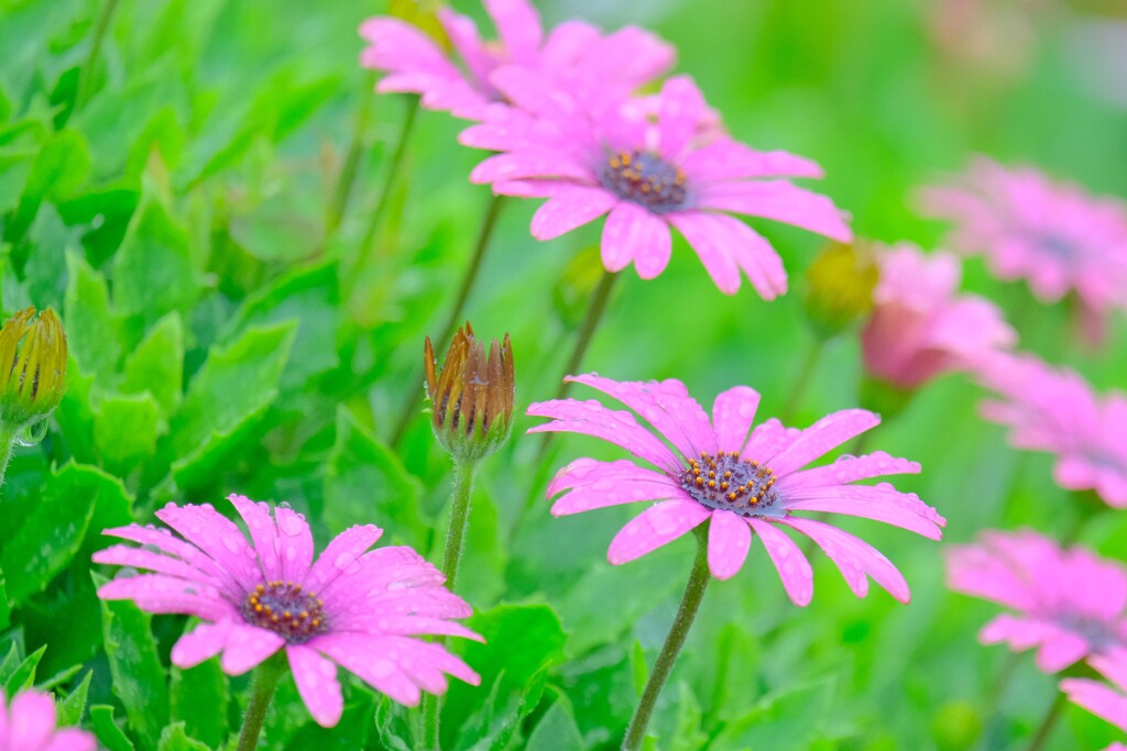 散歩の途中で。