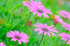 散歩の途中で。