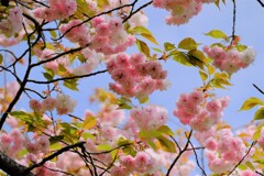 散歩の途中で。Ⅴ