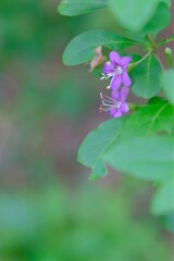 散歩の途中で。Ⅳ