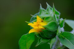 散歩の途中で。２