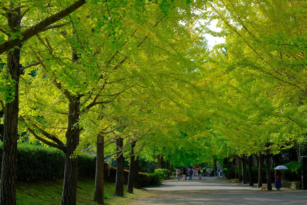 散歩の途中で。④