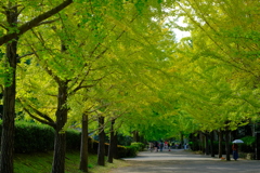 散歩の途中で。④