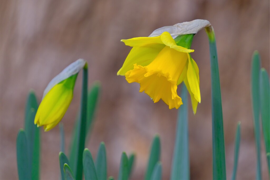 散歩の途中で。１