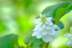 散歩の途中で。（６）