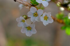 散歩の途中で。１