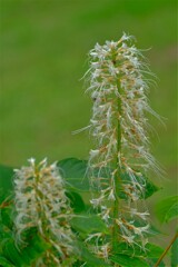 散歩の途中で。④