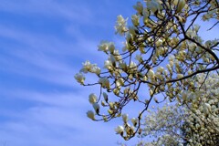 散歩の途中で。Ⅰ