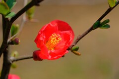 散歩の途中で。１