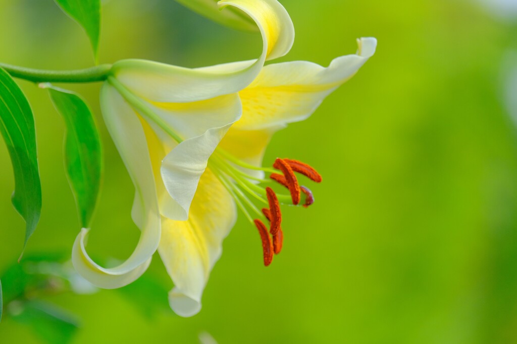 散歩の途中で。