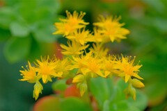 散歩の途中で。⑩