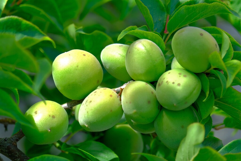 散歩の途中で。（２）