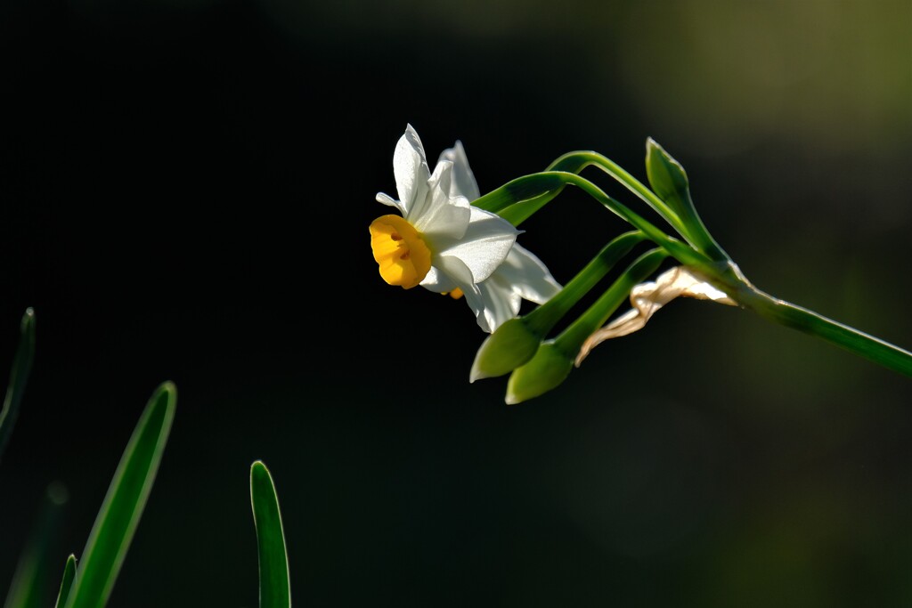 散歩の途中で。Ⅳ