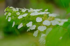 散歩の途中で。