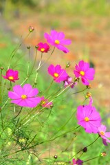 散歩の途中で。①