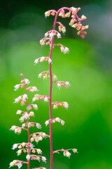 散歩の途中で。