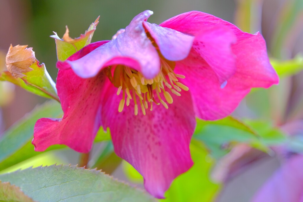 散歩の途中で。⑥